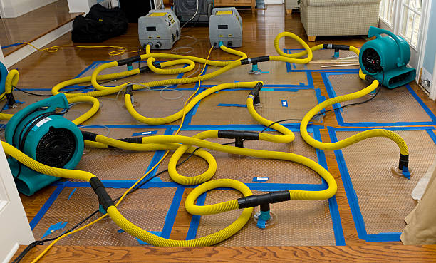 Professional Structural Drying And Dehumidification technician working in West Covina, CA